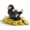 Schleich Wizarding World: Niffler & Gold - Collectible Toy Figurine, Magical Creature w/ Detachable Gold Pile, Fantastic Beasts, Harry Potter, Kids 6+